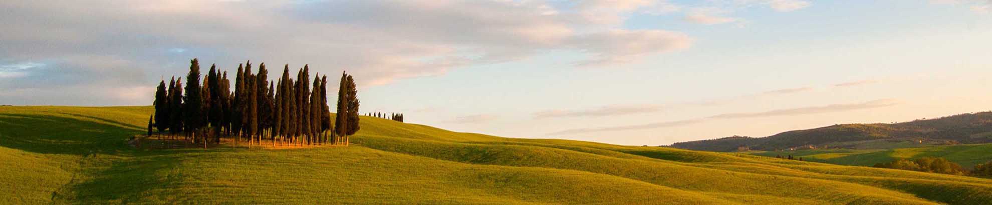 Rent a Road Bike in Tuscany