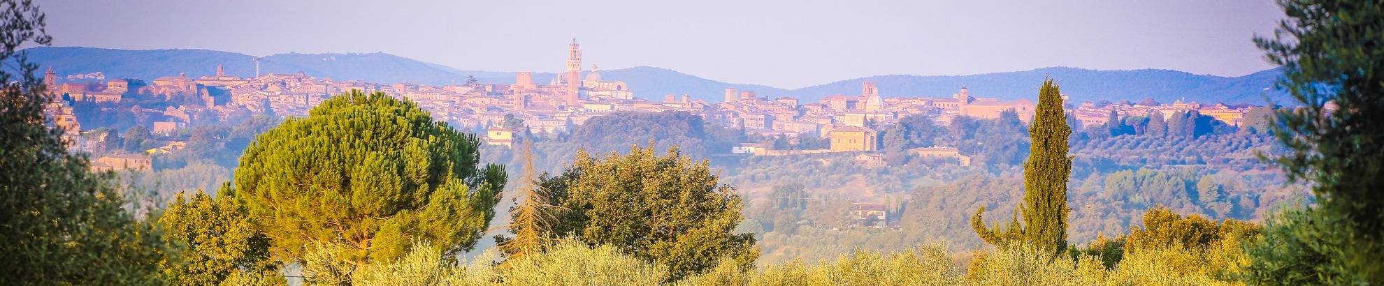 Small group bike tours from Siena