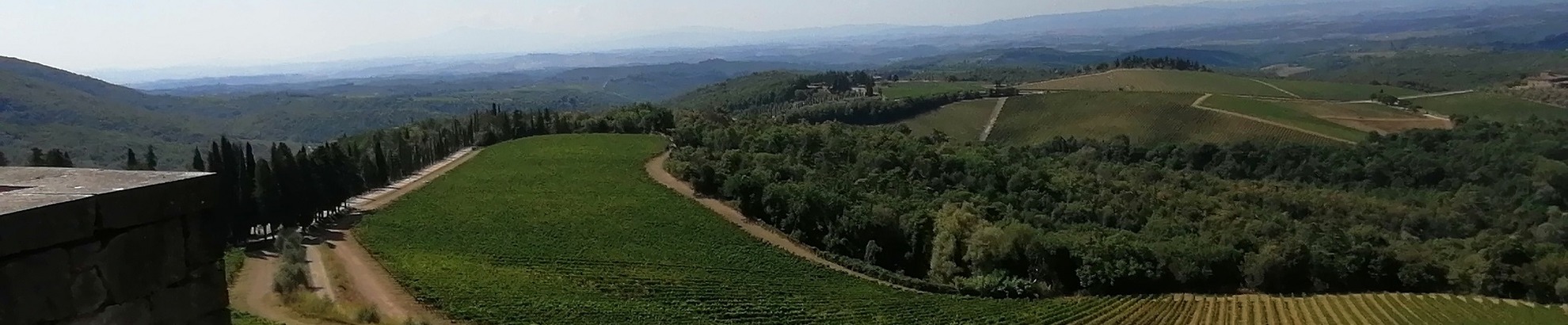 Chianti Wine & Bike Tour