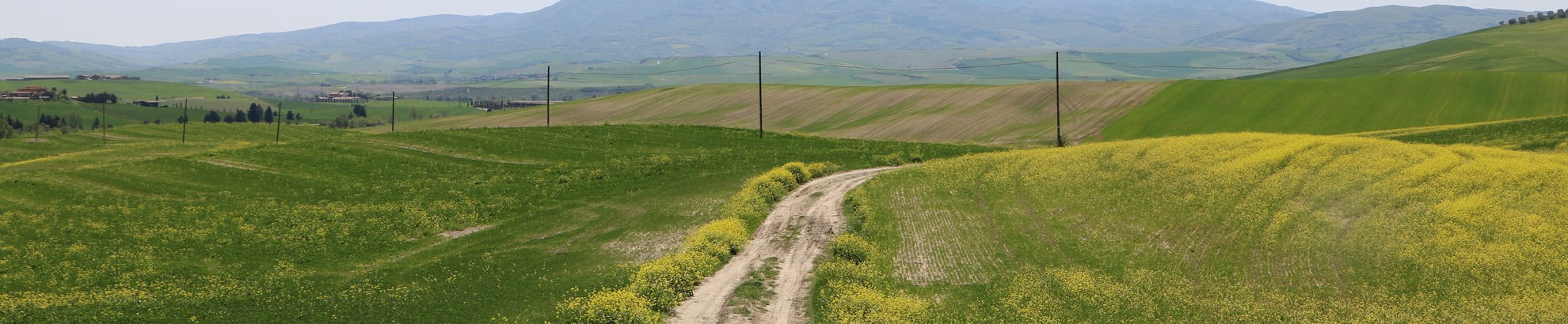 Tuscany Gravel Bike Tour