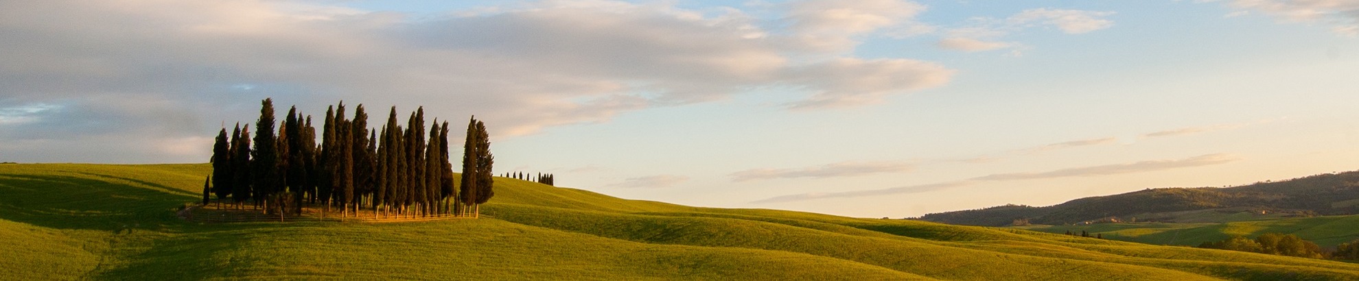 Val d'Orcia bike tour