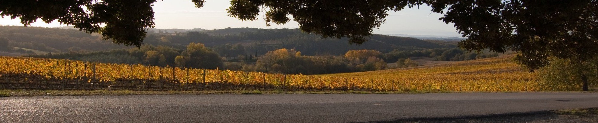 Chianti bike tour