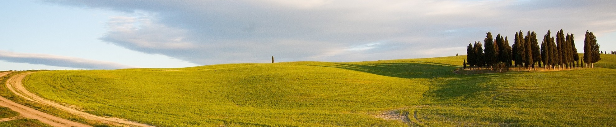 Tuscany Bike Tour