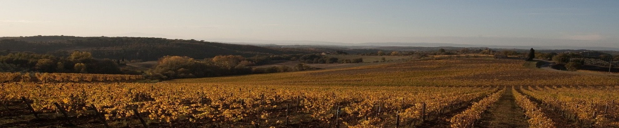 Permanent route of L'Eroica in 4 stages - Guided