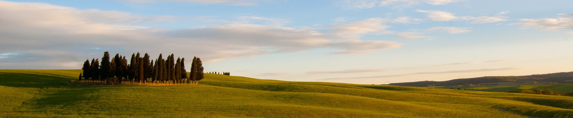 Tuscany Bike Tour - Self Guided