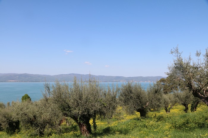 lago trasimeno bike tour